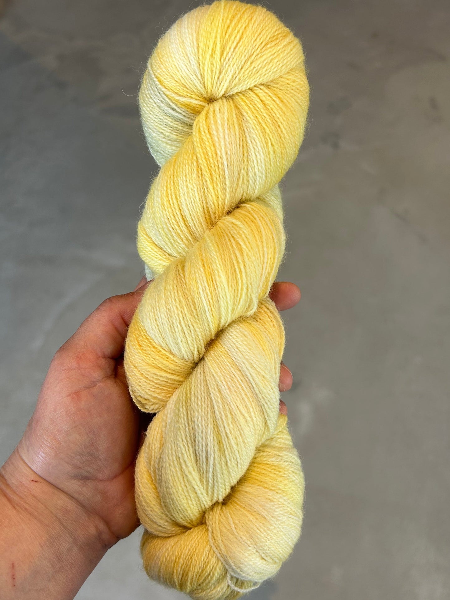 BLF Lace 800m / Whisper - Shy Sunshine