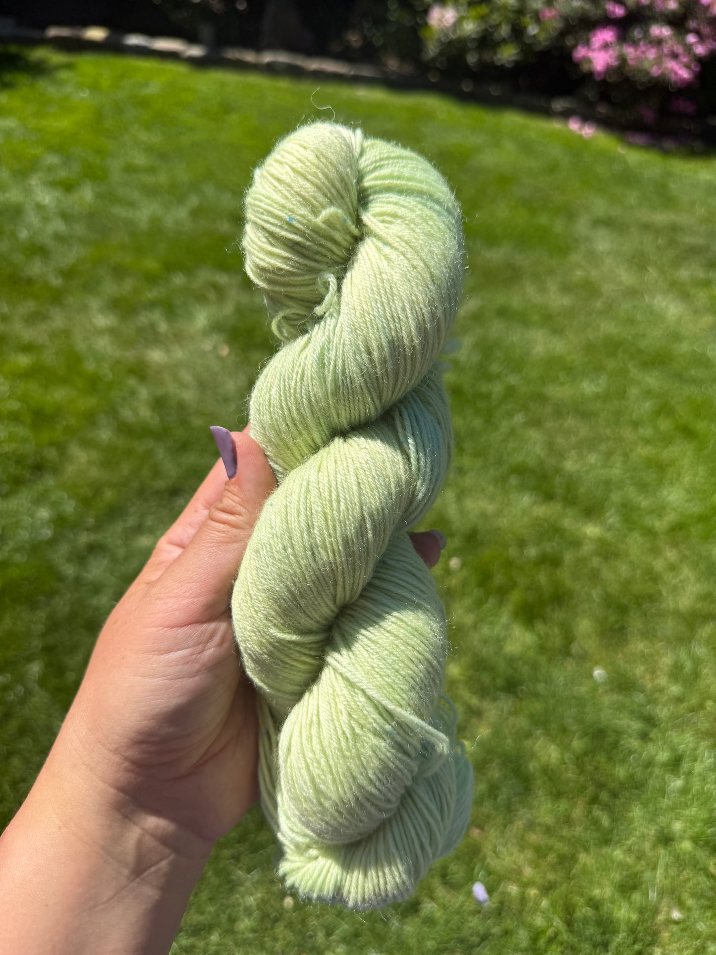 Sock Classic 420m / Whisper - Citrus Spring