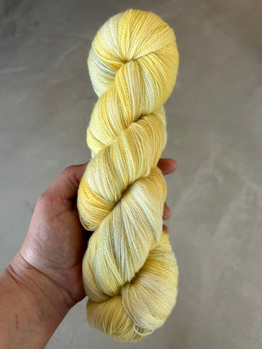 BLF Lace 800m / Whisper - Shy Sunshine